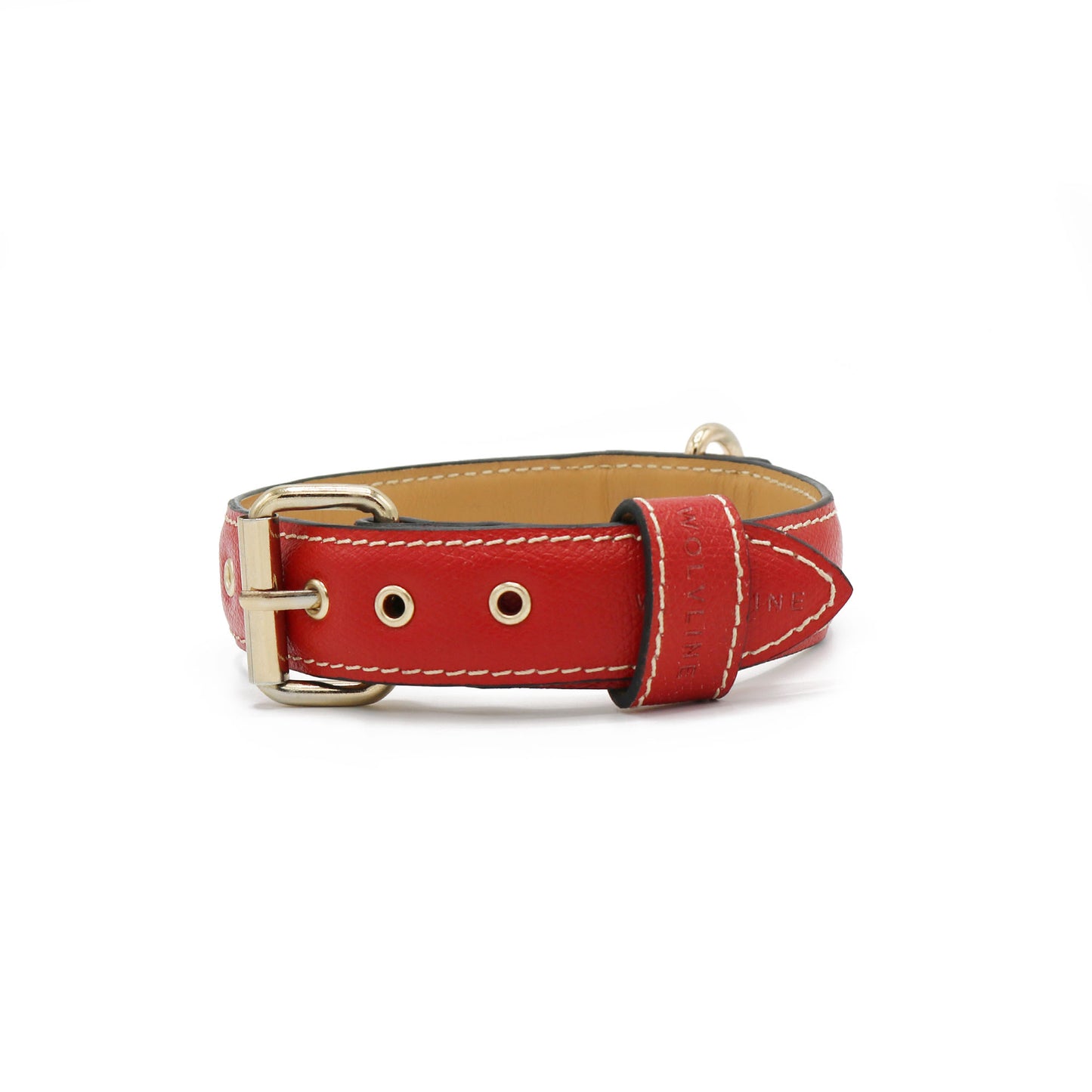Red leather dog collar with gold buckle on a white background